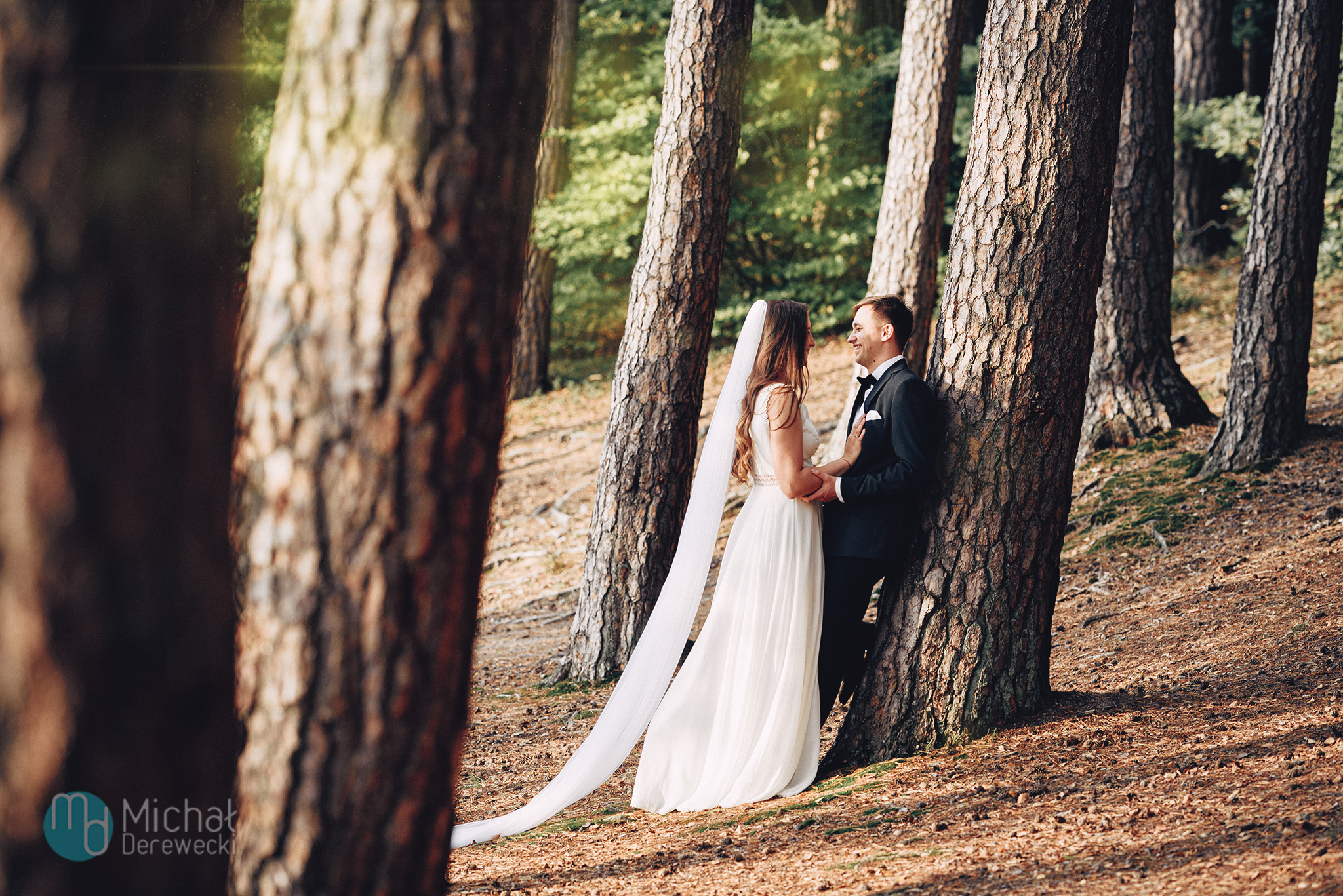 zdjęcia poślubne w lesie