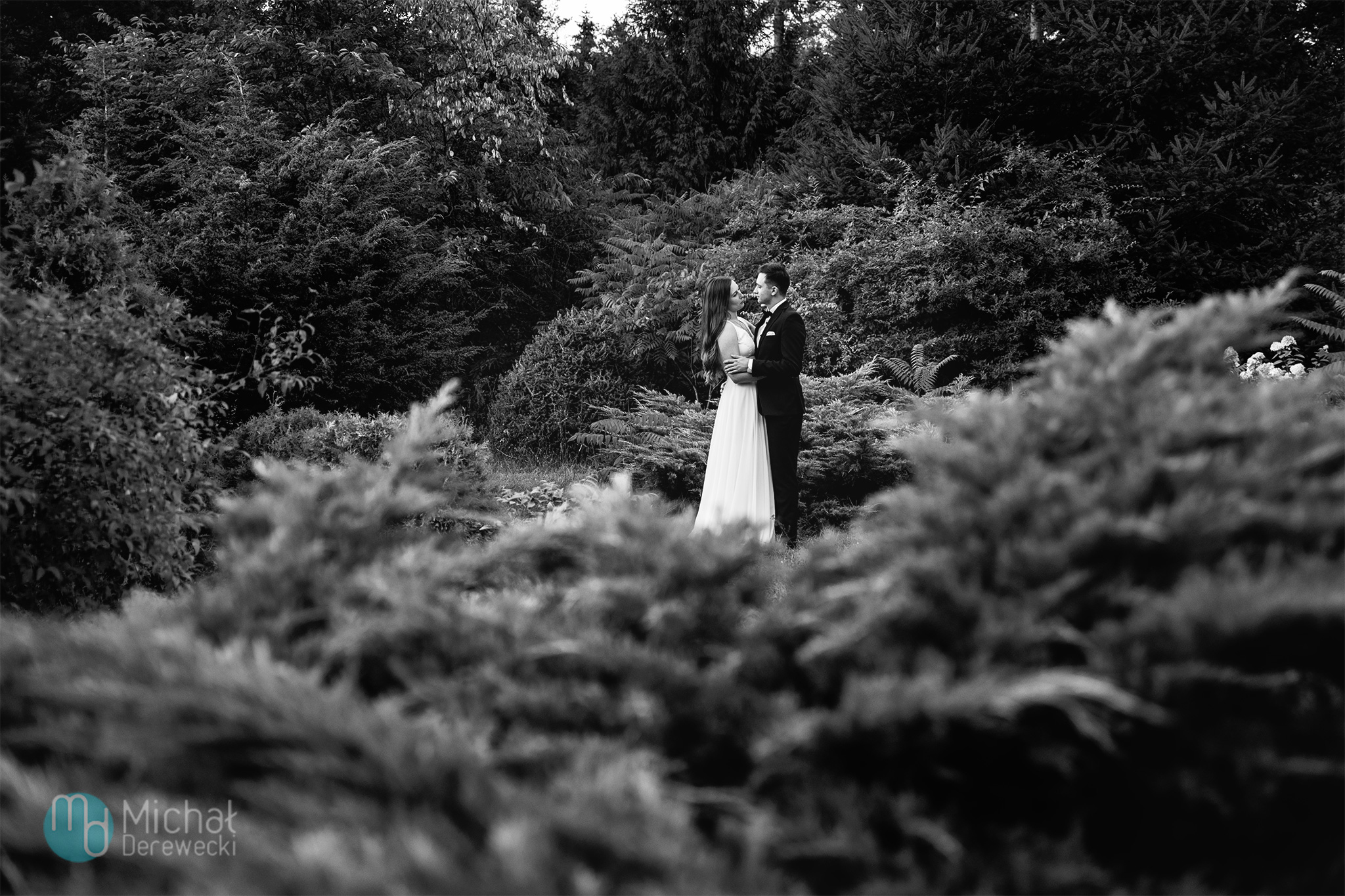 zdjęcia poślubne w lesie
